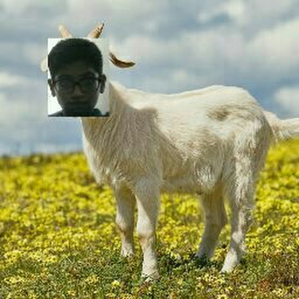 Meet your Posher, Kazim
